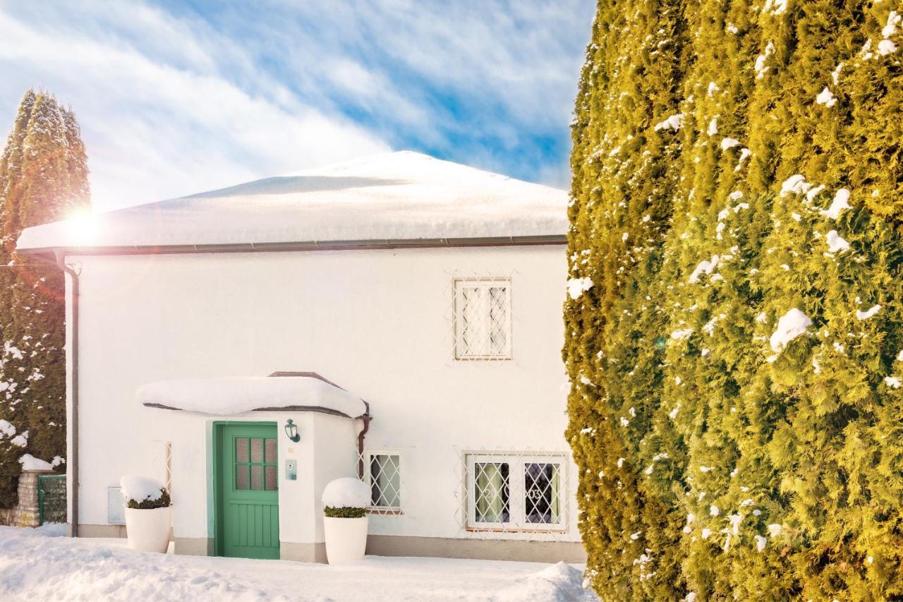 Townhouse Riva, Prime Location In The City Of Salzburg, 1000M2 Backyard Villa Buitenkant foto