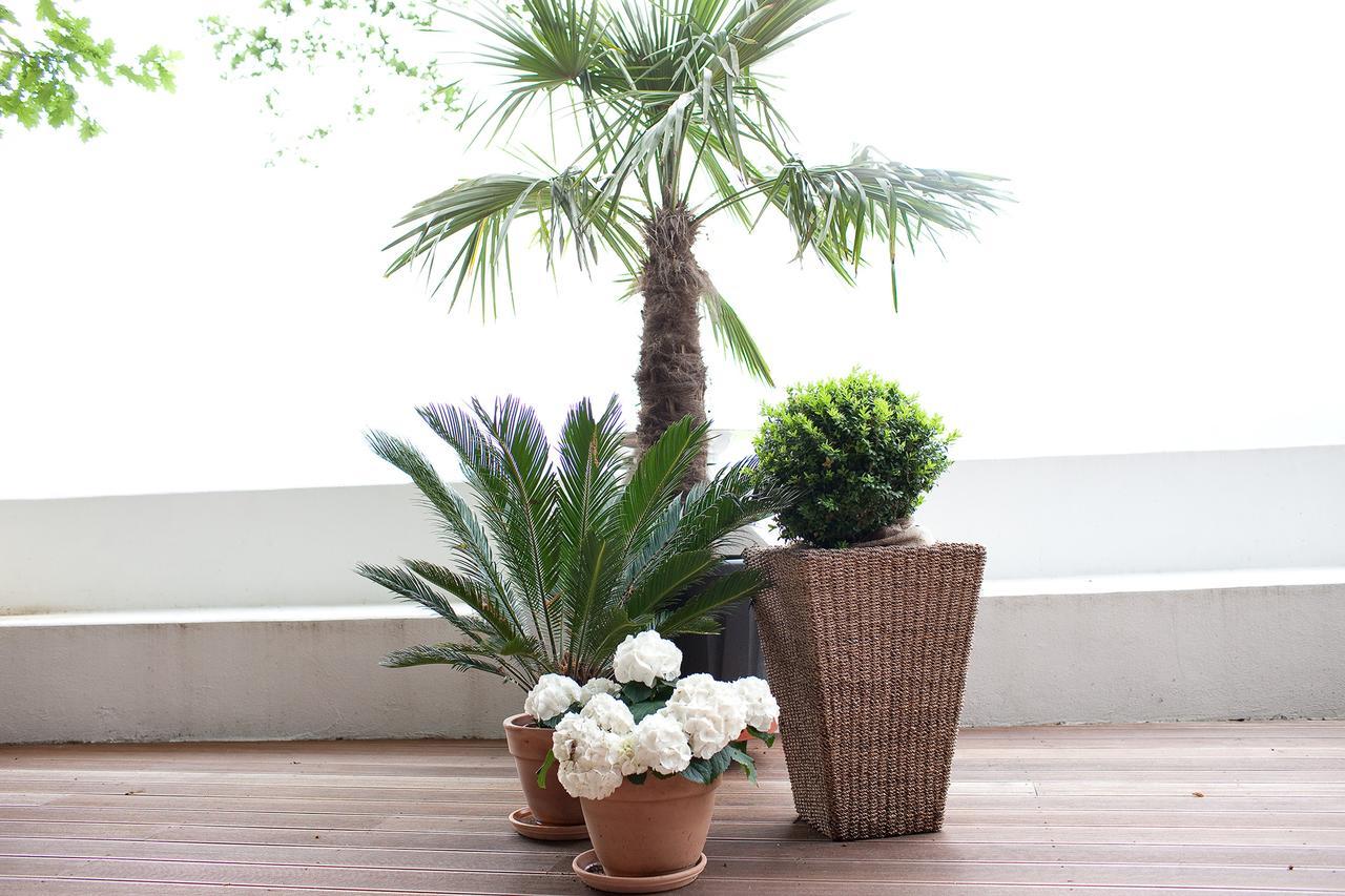 Townhouse Riva, Prime Location In The City Of Salzburg, 1000M2 Backyard Villa Buitenkant foto